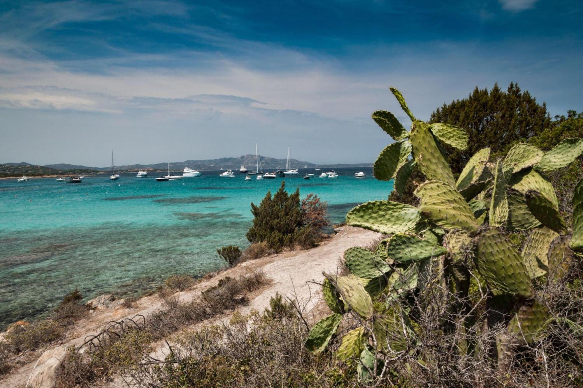 Villetta Franca 100M From The Beach - Happy Rentals กอลโฟอารันชี ภายนอก รูปภาพ